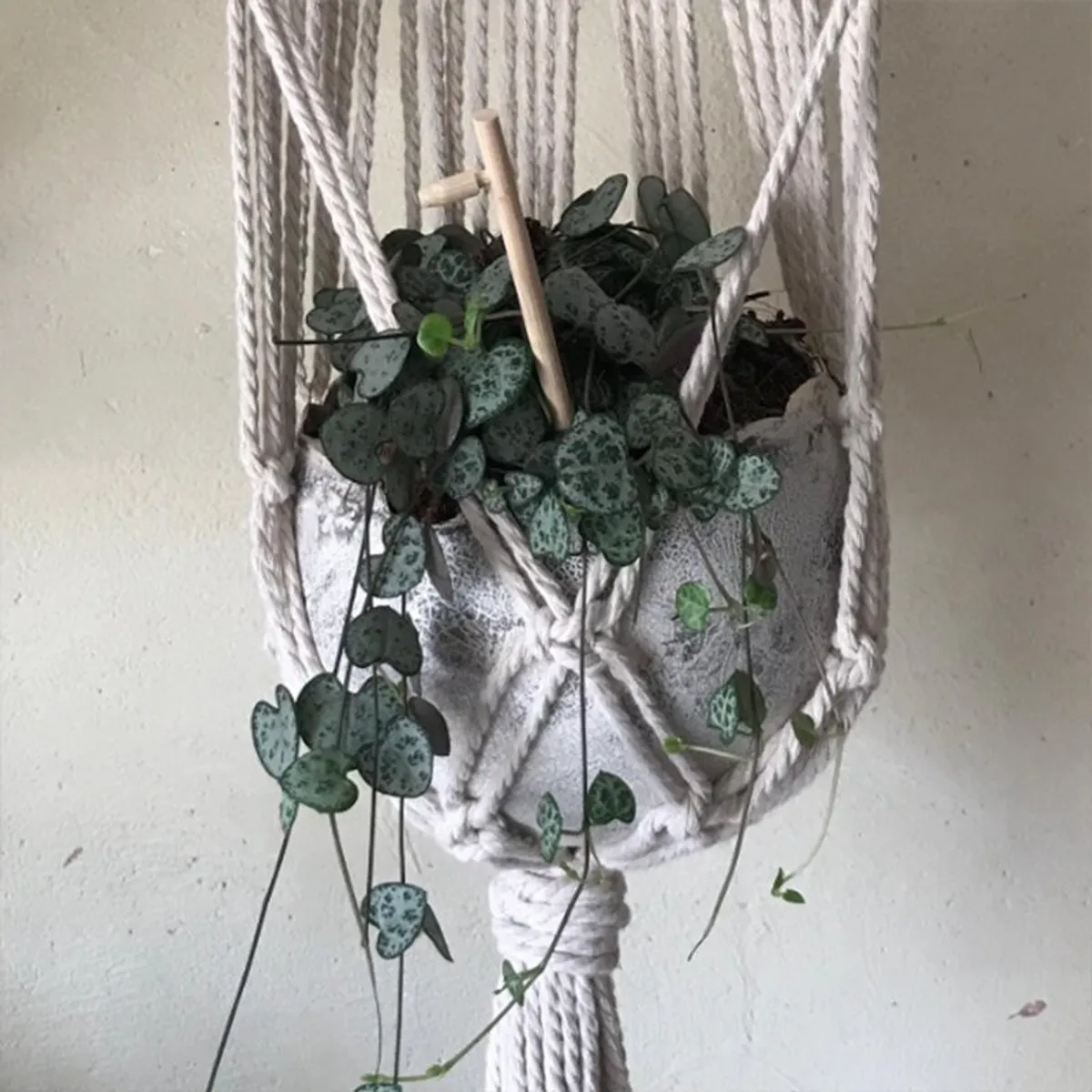 Modelez votre suspension pour plantes