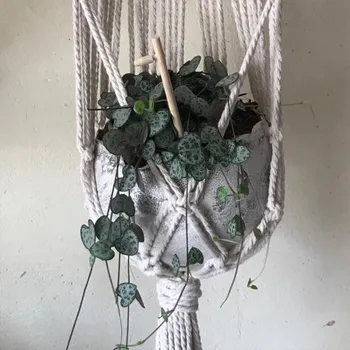 Wecandoo - Modelez votre suspension pour plantes