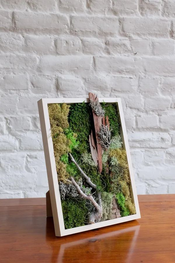 Create your own plant frame with Belle - Image n°5 - Wecandoo