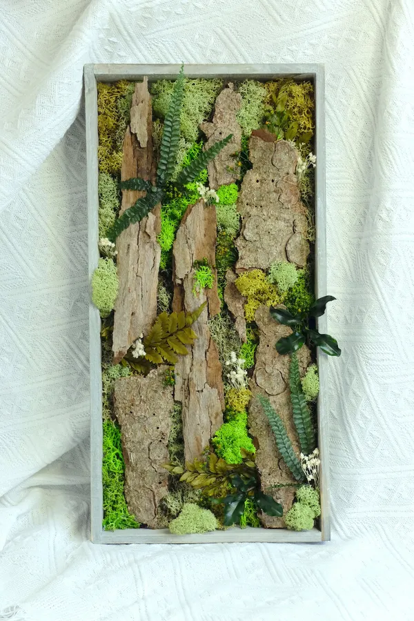 Create your own plant frame with Belle - Image n°4 - Wecandoo