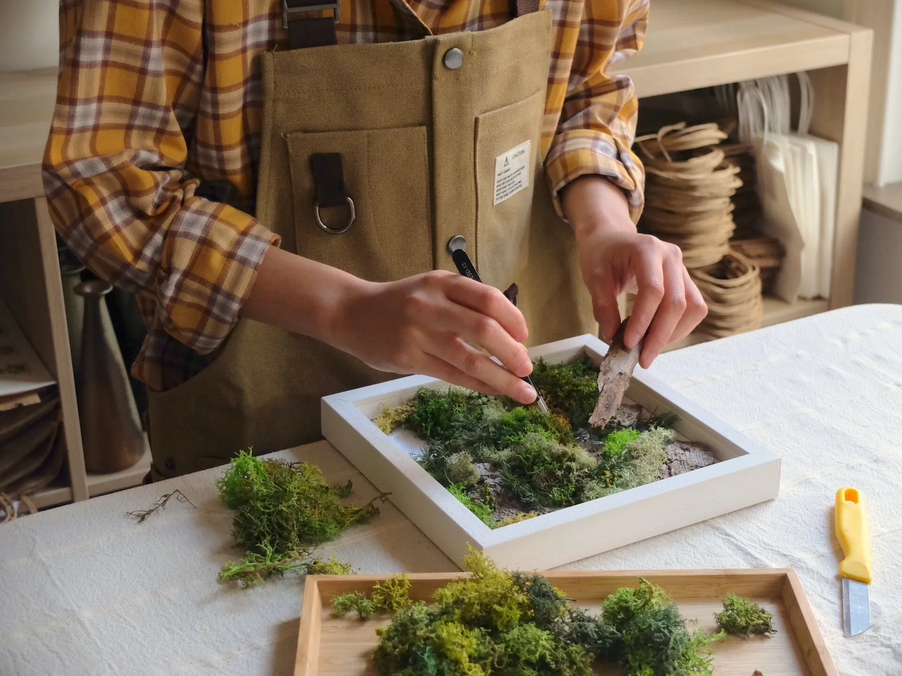 Réalisez votre cadre végétal avec Belle - Image n°3 - Wecandoo