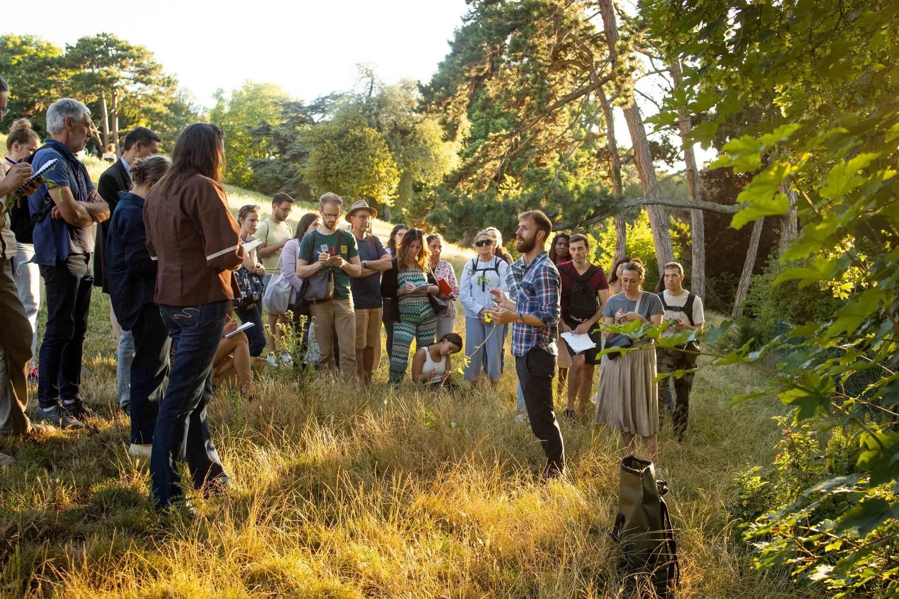 Découvrez le monde des plantes sauvages avec François - 2 jours - Image n°3 - Wecandoo