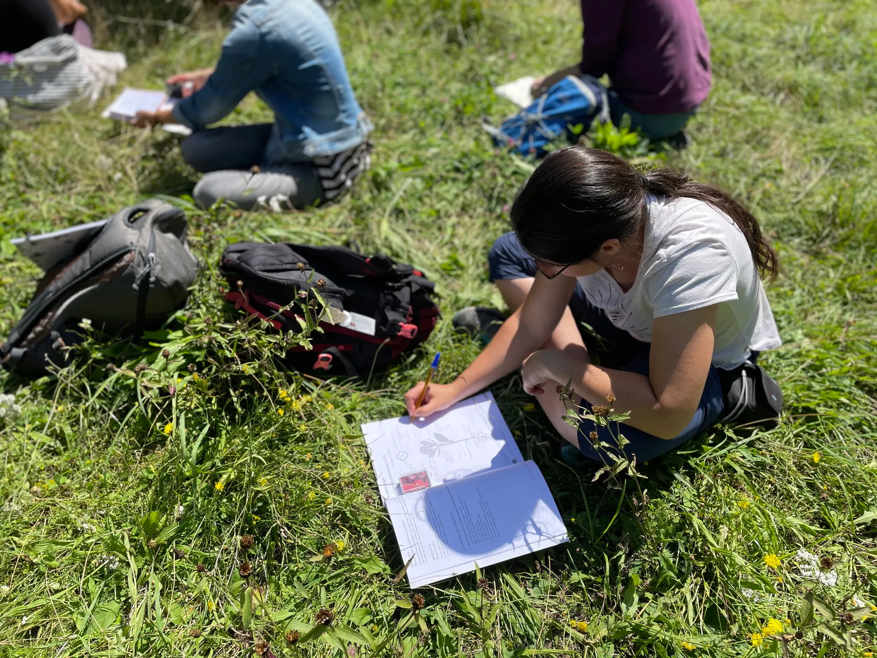 Découvrez le monde des plantes sauvages avec François - 2 jours - Image n°5 - Wecandoo