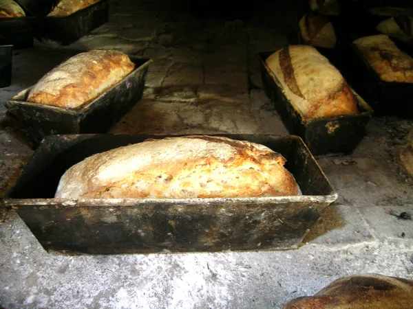 Fabriquez votre pain traditionnel sur une journée avec Denis - Afbeelding nr. 5 - Wecandoo