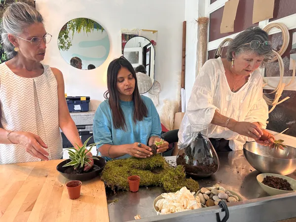 Composez votre terrarium avec Stéphanie - Image n°4 - Wecandoo