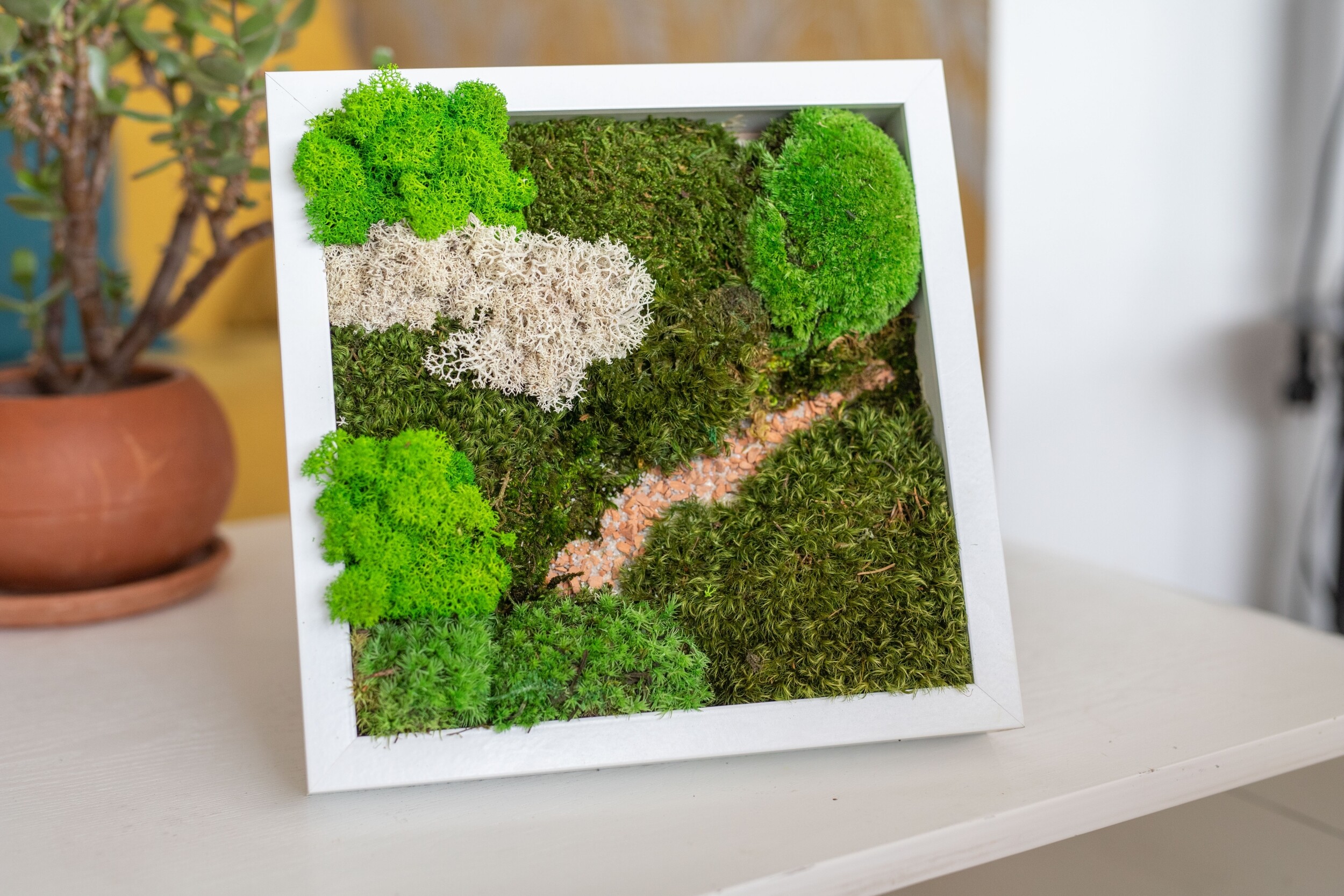 Réalisez votre cadre végétal