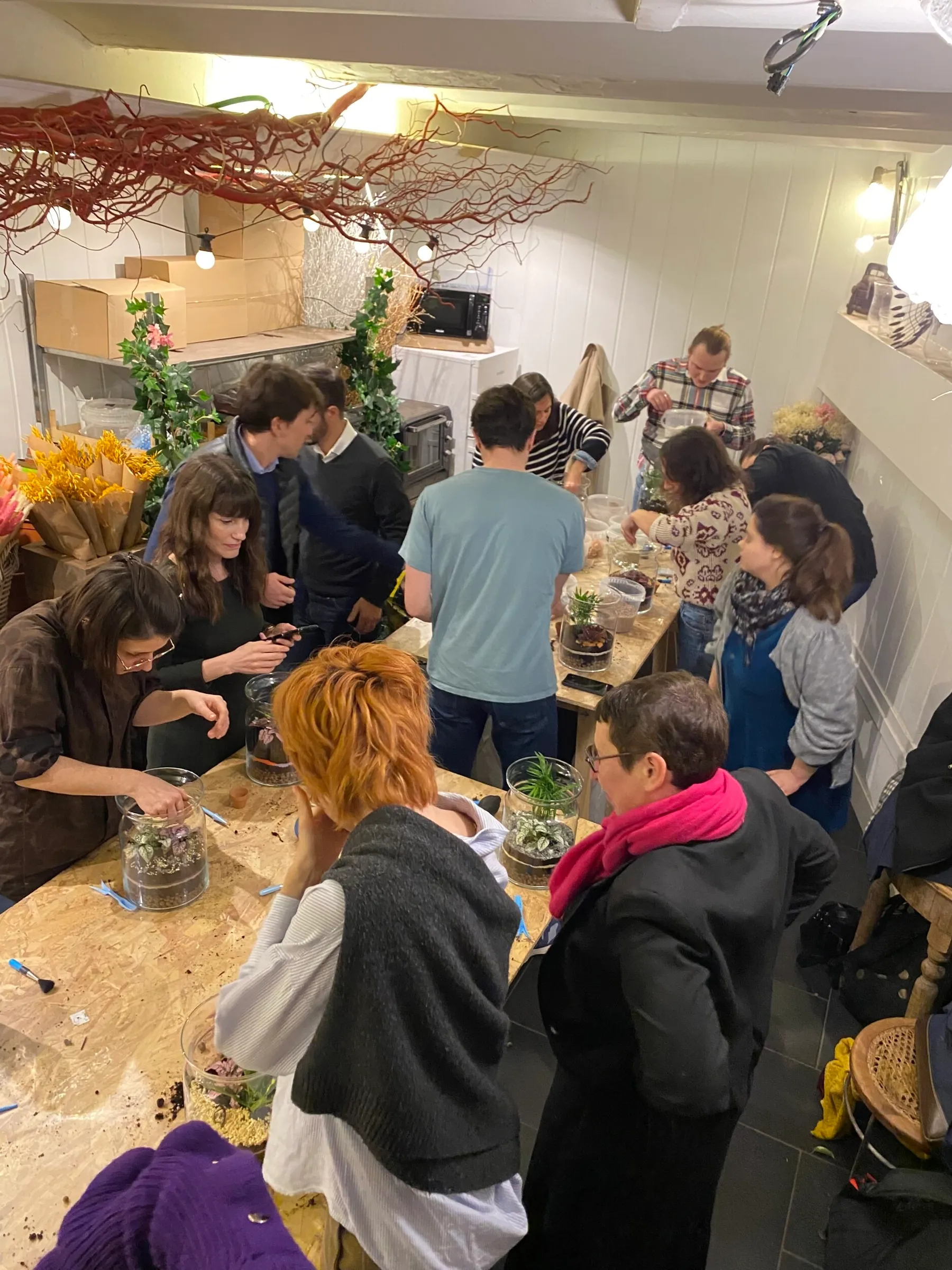 Créez et composez votre terrarium de taille L - Image n°3 - Wecandoo