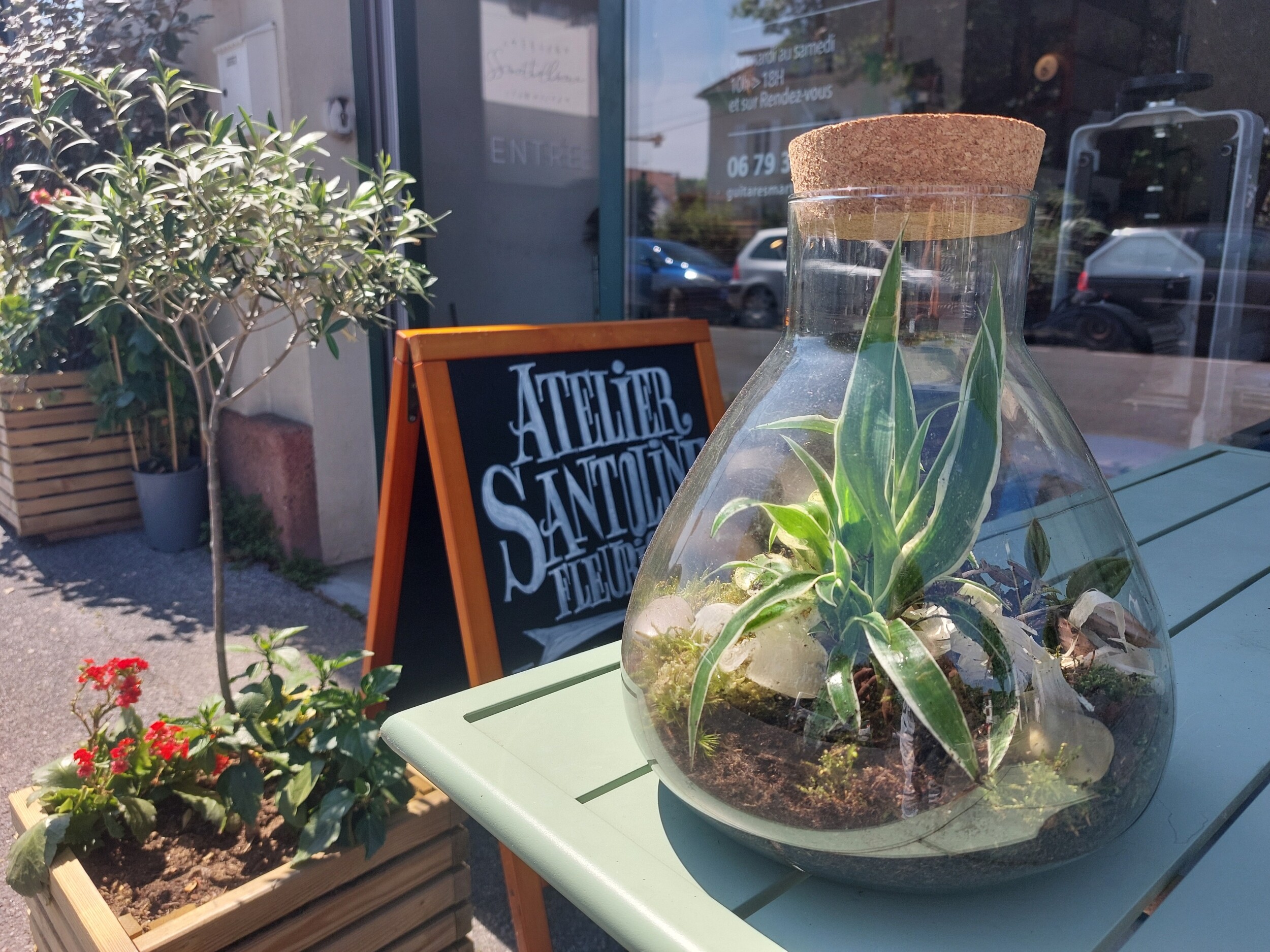 Composez votre terrarium