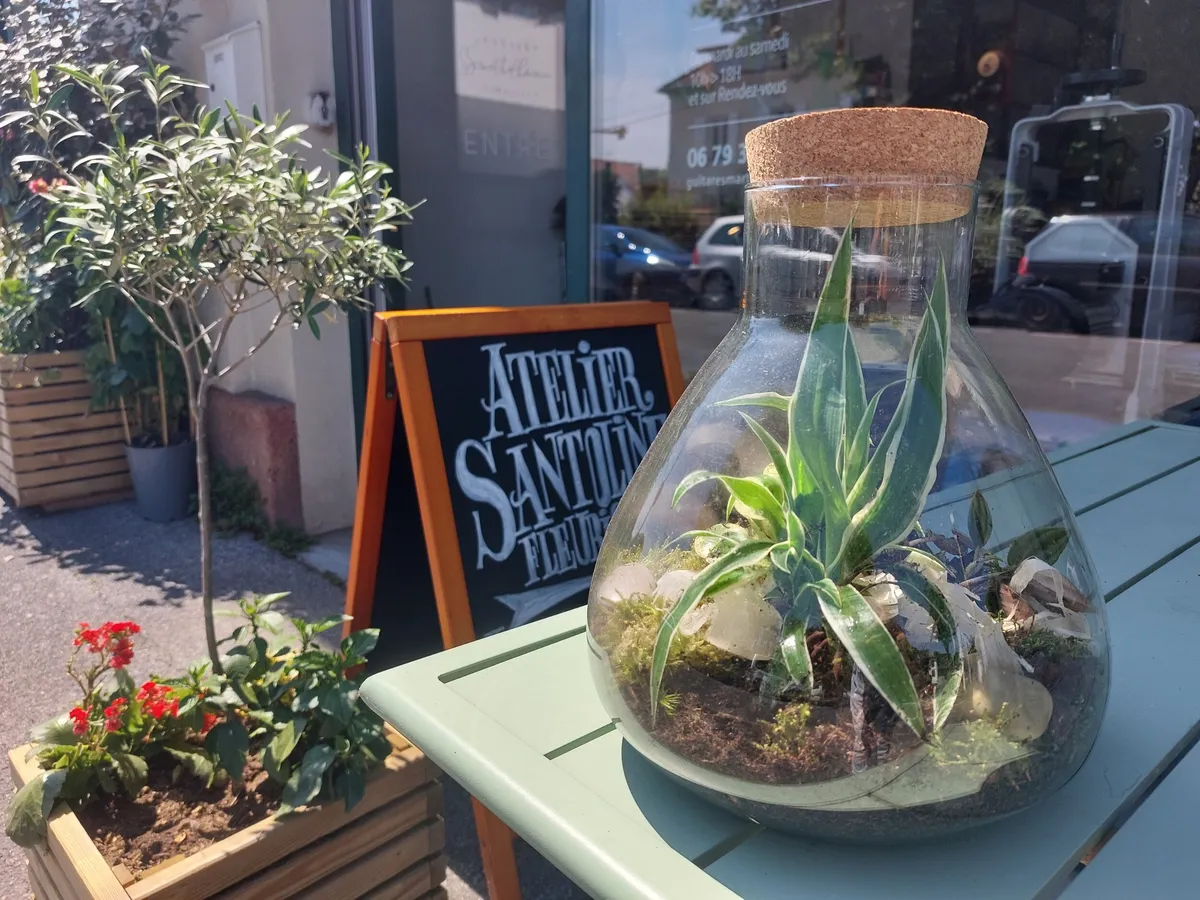 Composez votre terrarium