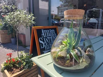 Wecandoo - Composez votre terrarium
