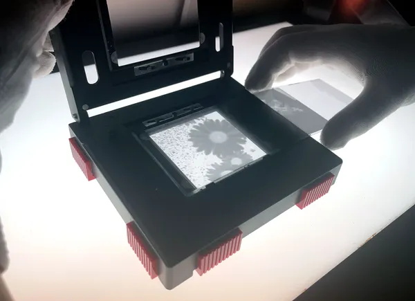 Tirez vos photos en noir et blanc avec Eliot - Image n°2 - Wecandoo