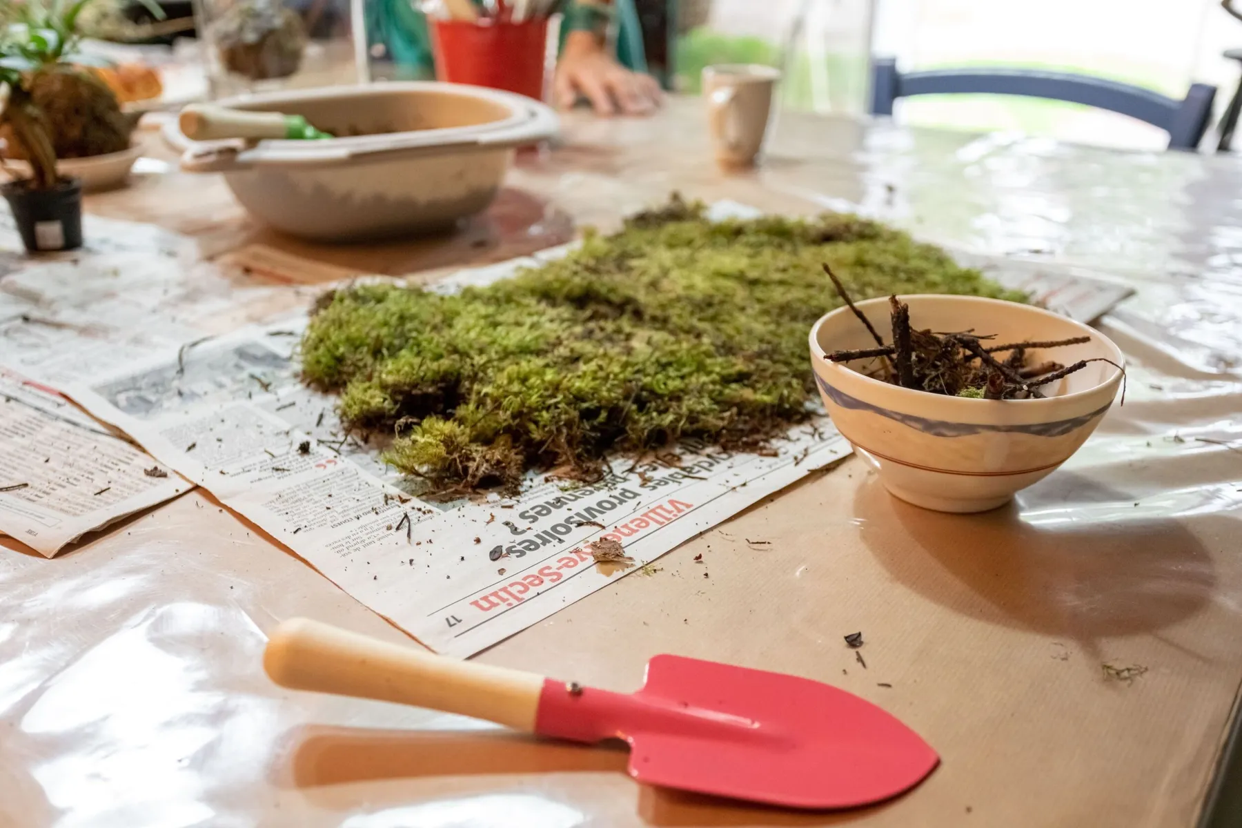 Réalisez vos deux kokédamas en duo avec votre enfant accompagnés par Martine - Image n°5 - Wecandoo