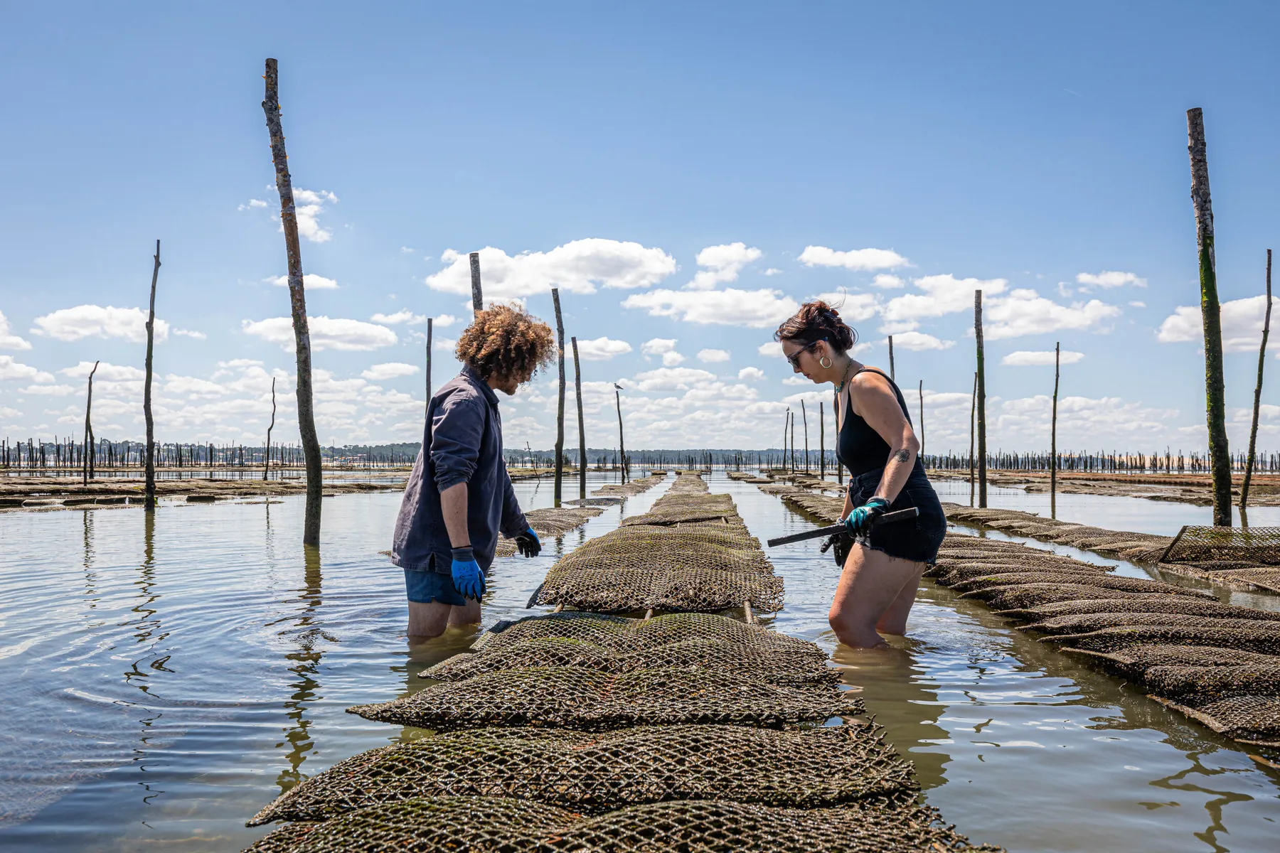 Découvrez le métier d'ostréiculteur avec Maxime - Image n°4 - Wecandoo