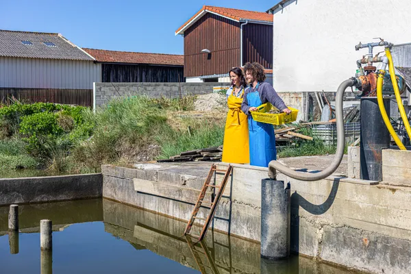 Visitez une cabane d'ostréiculture et dégustez des huitres avec Maxime - Image n°2 - Wecandoo