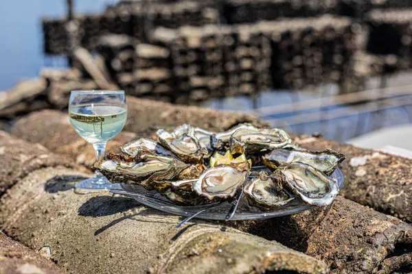 Visitez une cabane d'ostréiculture et dégustez des huitres avec Maxime - Image n°5 - Wecandoo