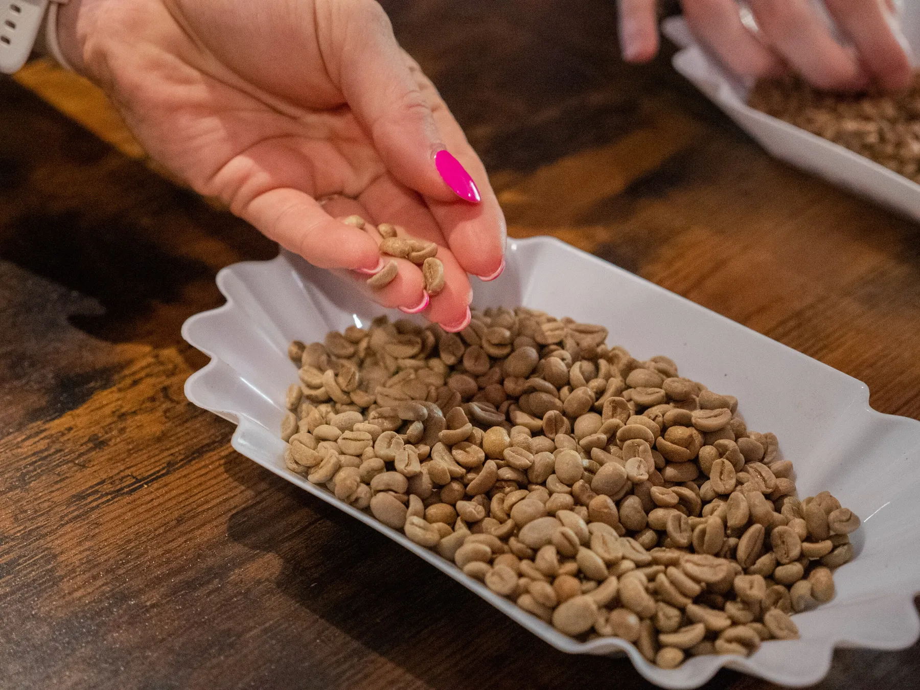 Découvrez les secrets du café de spécialité avec Natacha - Image n°1 - Wecandoo