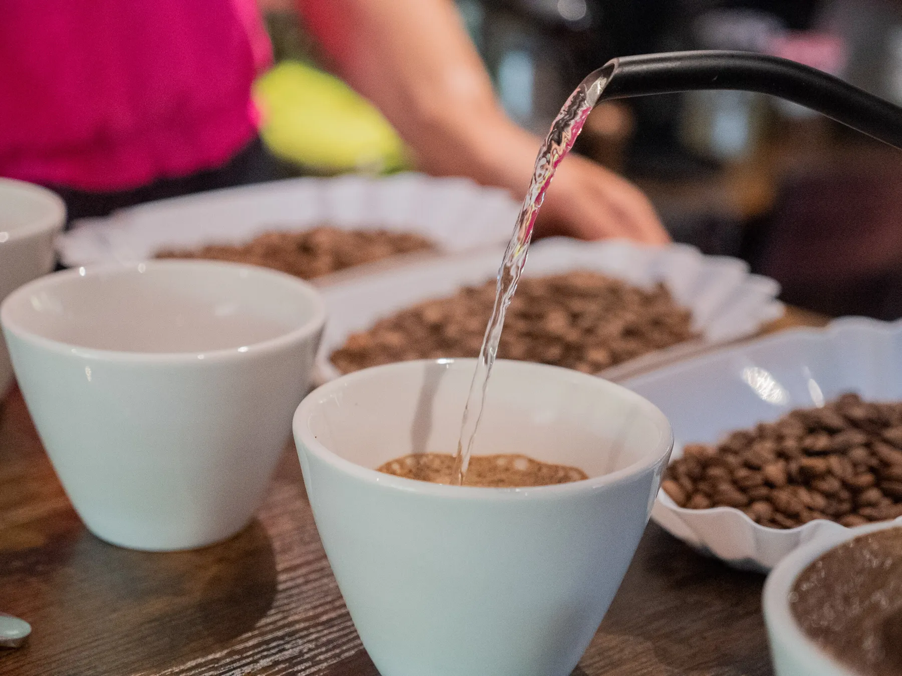 Découvrez les secrets du café de spécialité avec Natacha - Image n°5 - Wecandoo