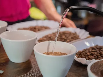 Wecandoo - Découvrez les secrets du café de spécialité