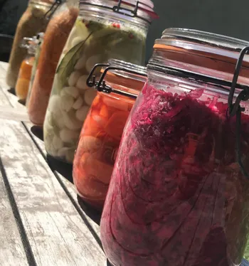 Découvrez les secrets de la lacto-fermentation
