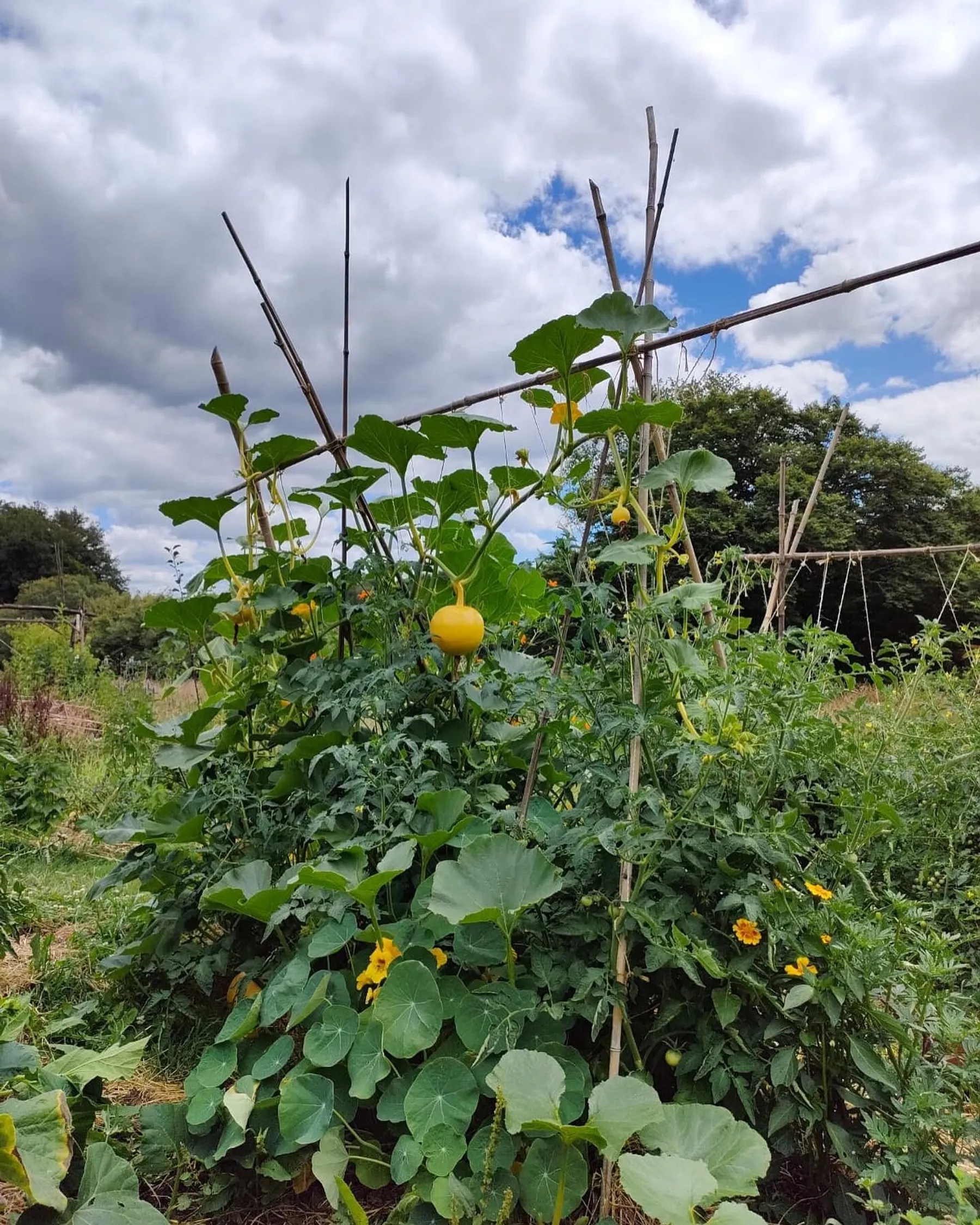 Initiez-vous à la permaculture - Image n°5 - Wecandoo