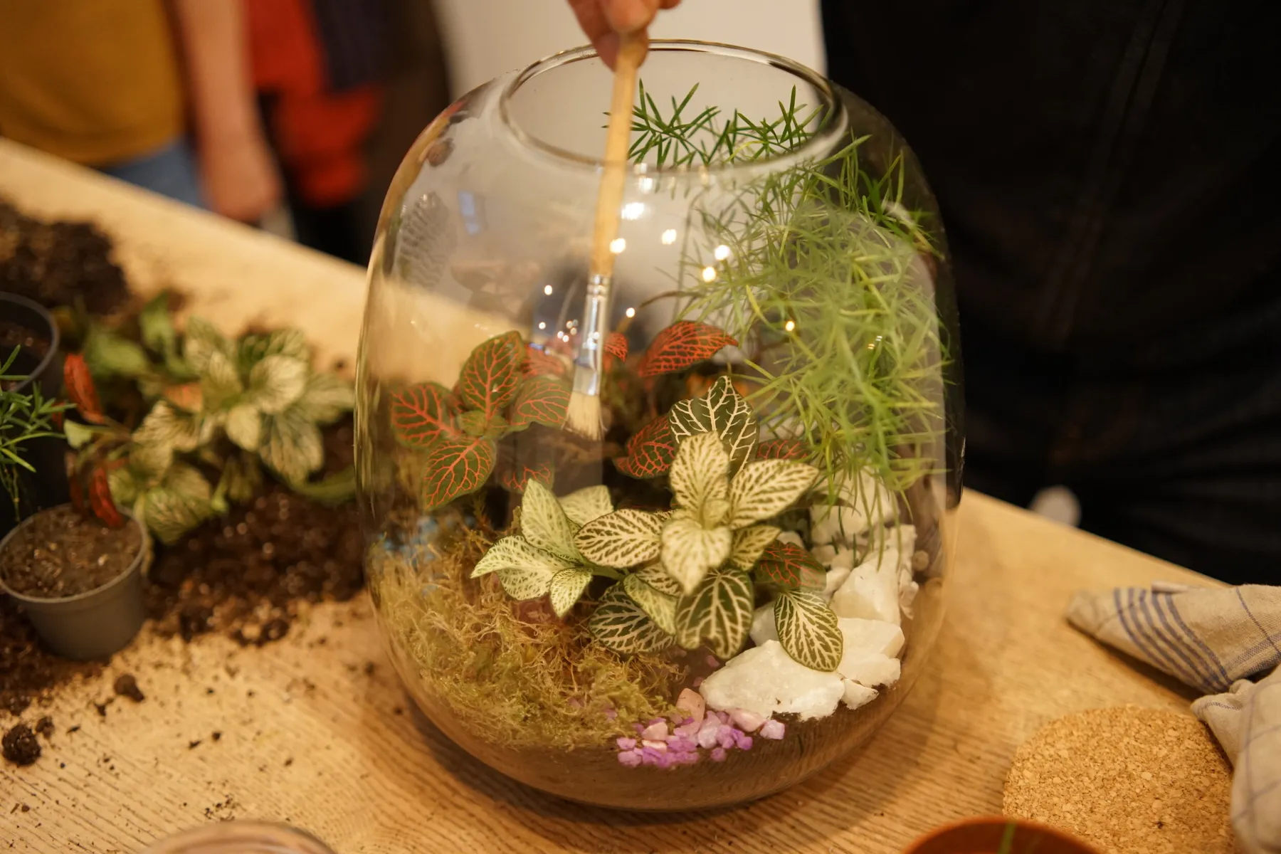 Réalisez votre terrarium taille L - Image n°4 - Wecandoo