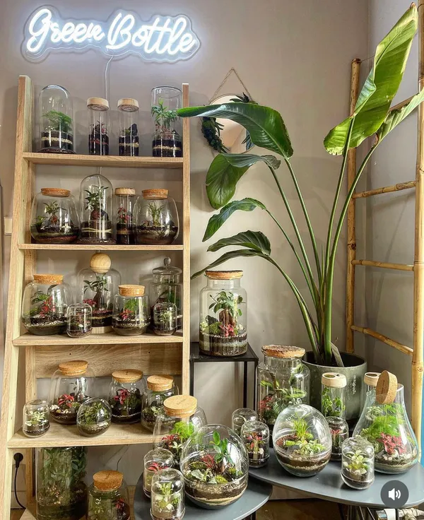 Composez votre terrarium à 4 mains - Image n°2 - Wecandoo