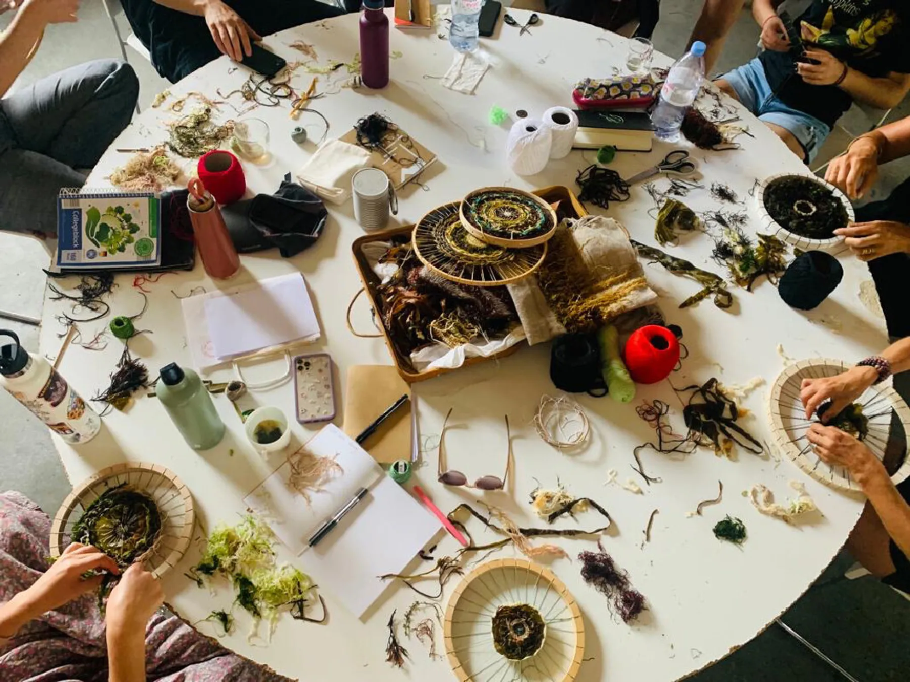 Initiez-vous au tissage d'algues avec Violaine - Image n°4 - Wecandoo