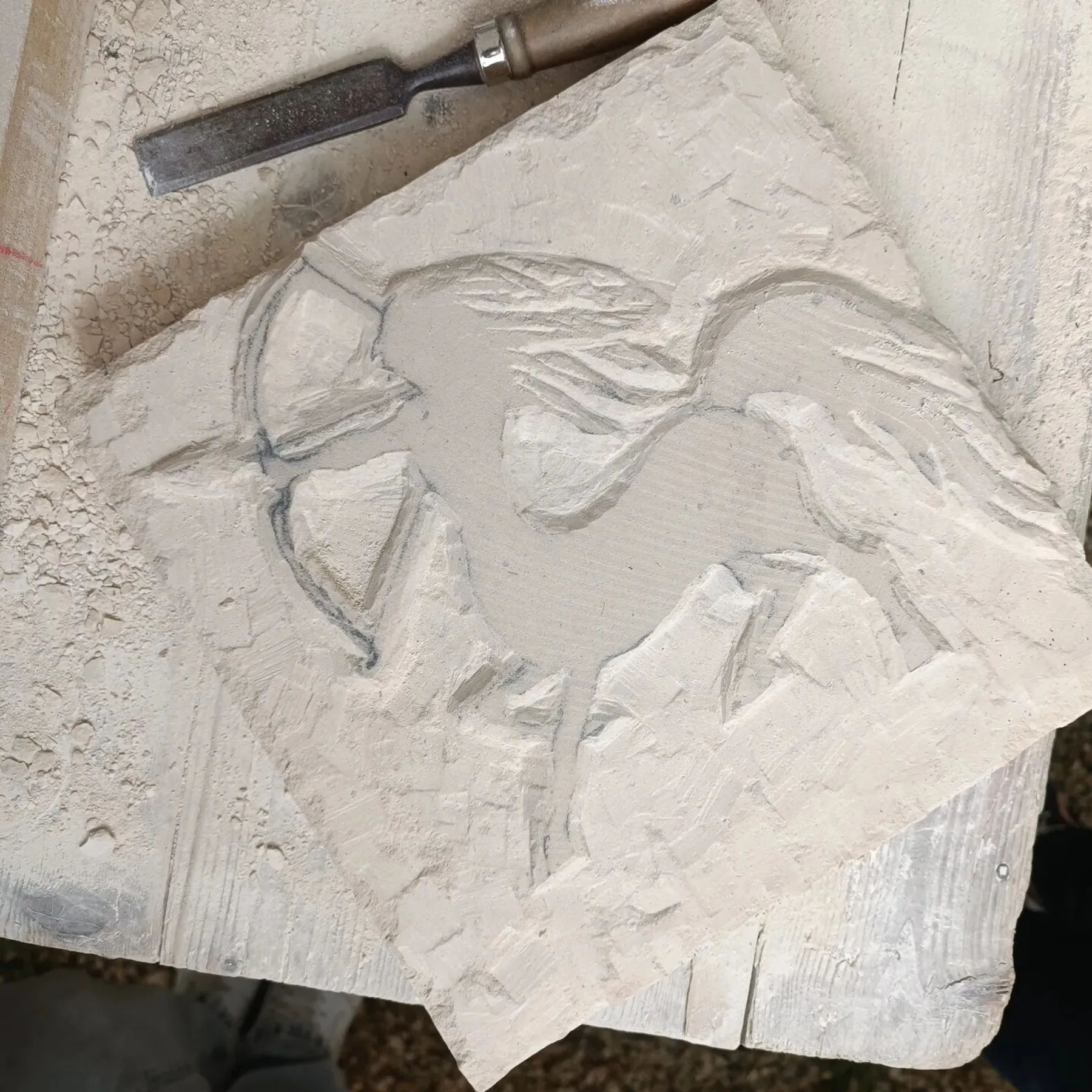 1720649005873.jpg - Wecandoo