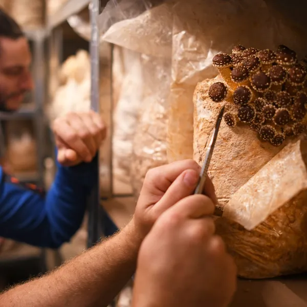 Atelier : 1 Les Menetieres