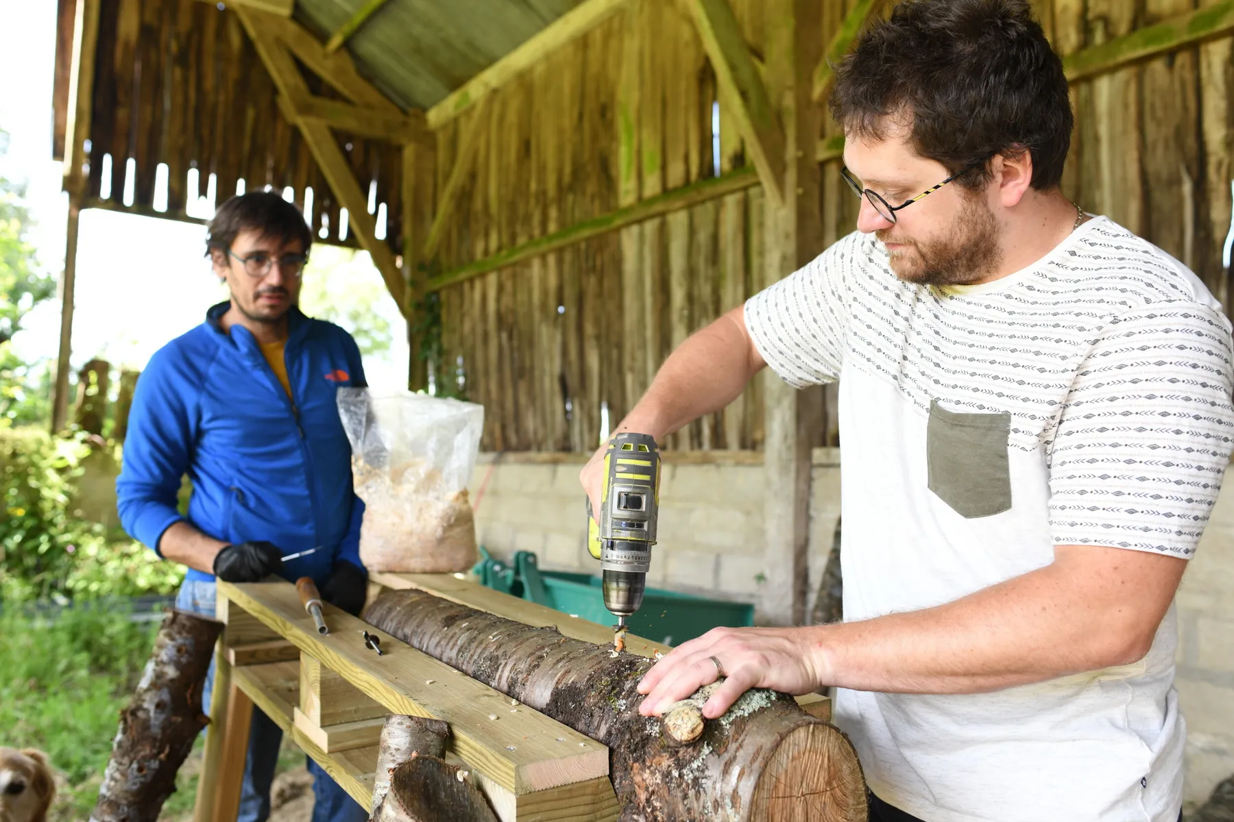 Apprenez à cultiver vos champignons sur bûche avec Kevin - Image n°2 - Wecandoo