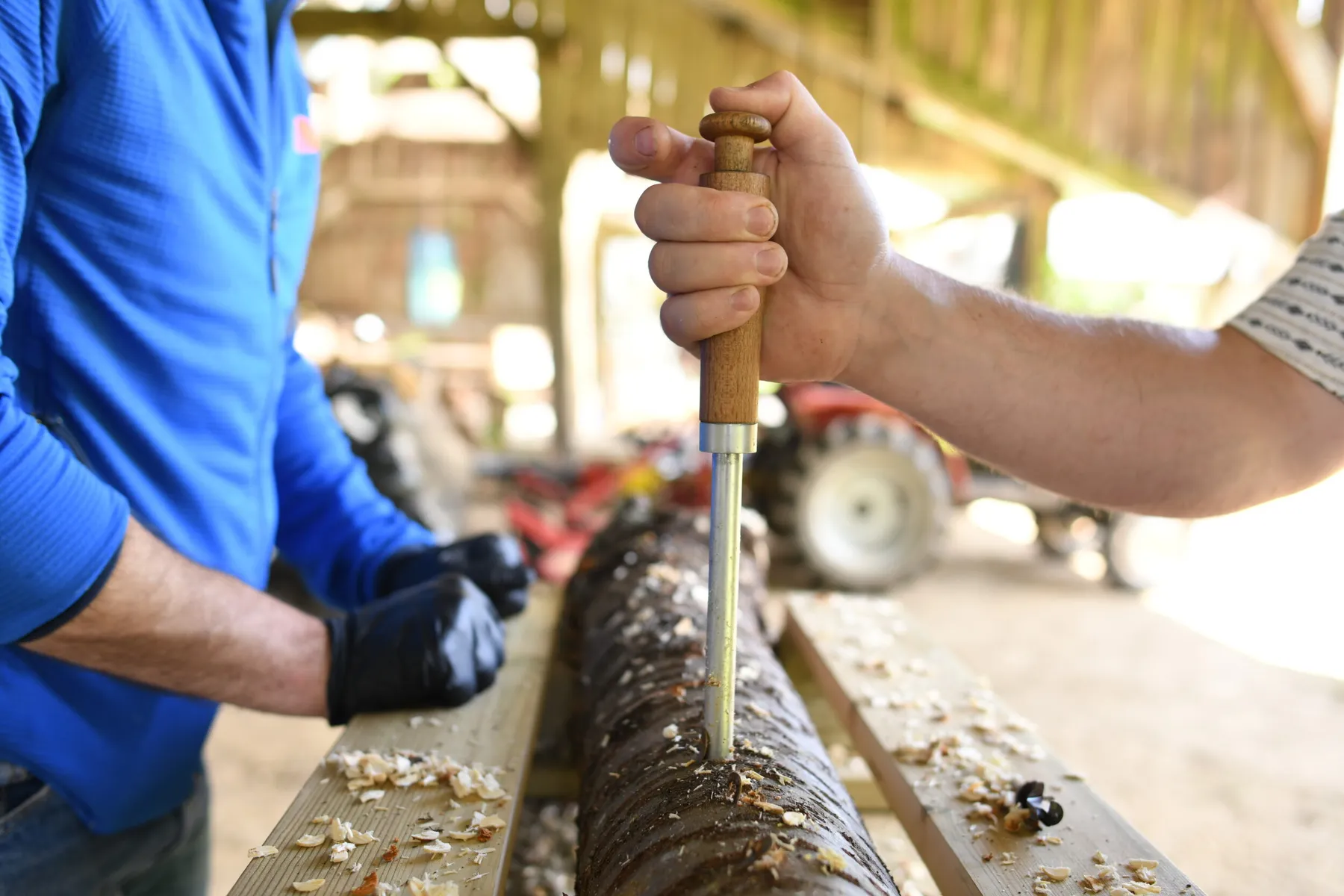 Apprenez à cultiver vos champignons sur bûche avec Kevin - Image n°3 - Wecandoo