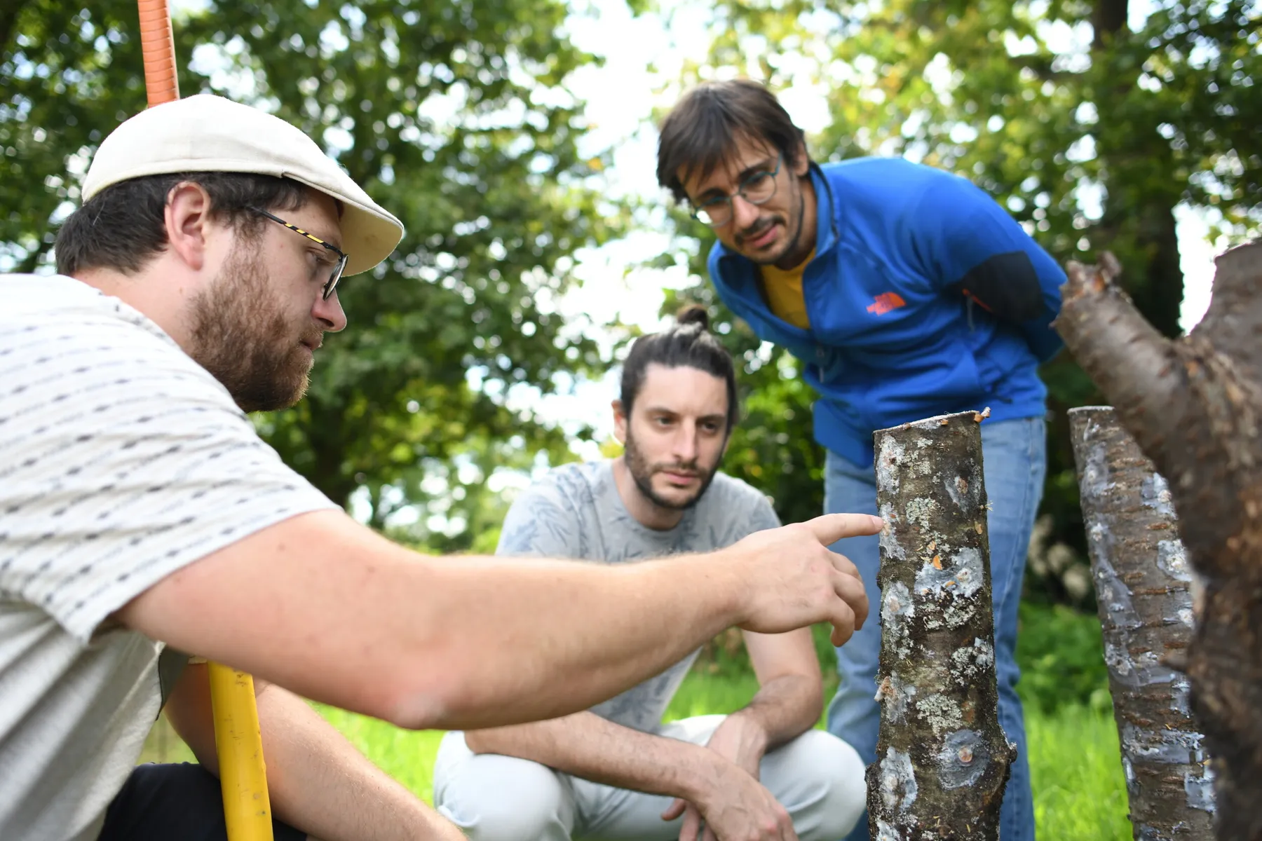 Apprenez à cultiver vos champignons sur bûche avec Kevin - Image n°1 - Wecandoo
