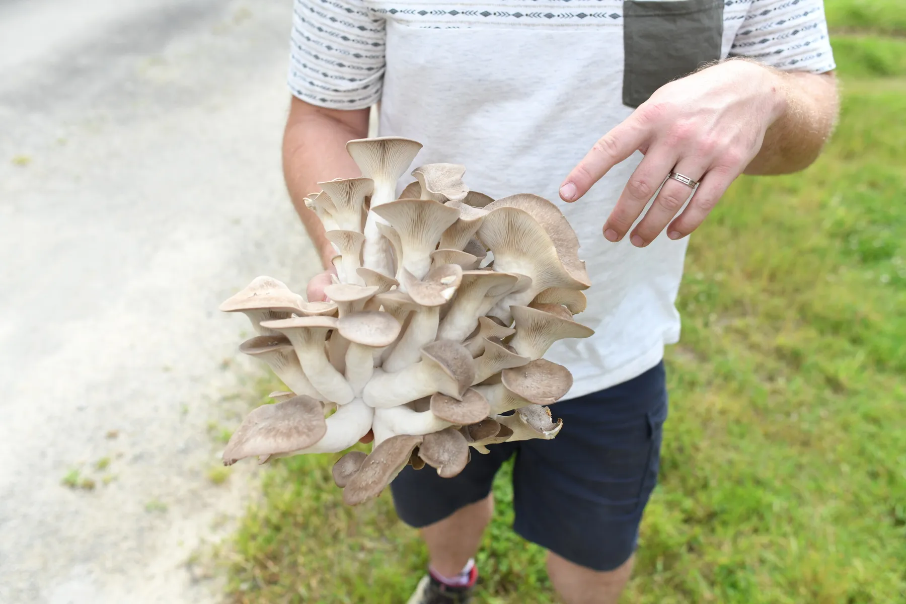 Apprenez à cultiver vos champignons sur bûche avec Kevin - Image n°4 - Wecandoo