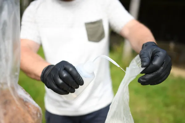 Apprenez à cultiver vos champignons en sac - Image n°4 - Wecandoo