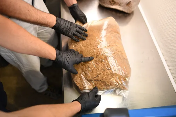 Apprenez à cultiver vos champignons en sac - Image n°5 - Wecandoo