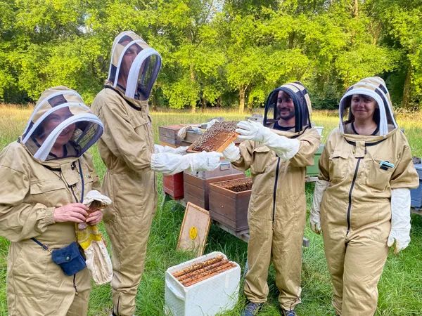 Learn all about beekpeeing - Image n°3 - Wecandoo