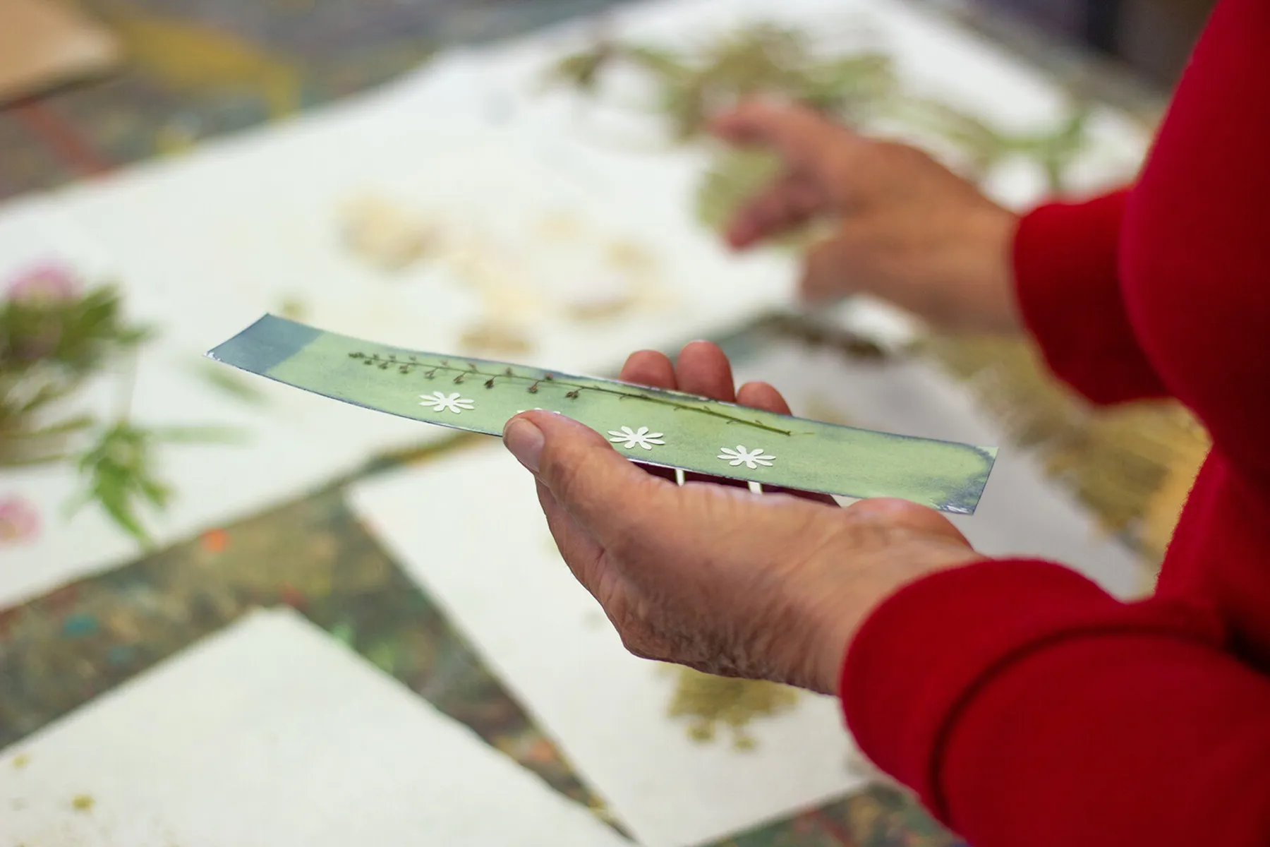 Initiez-vous au cyanotype avec Fañch - Image n°3 - Wecandoo