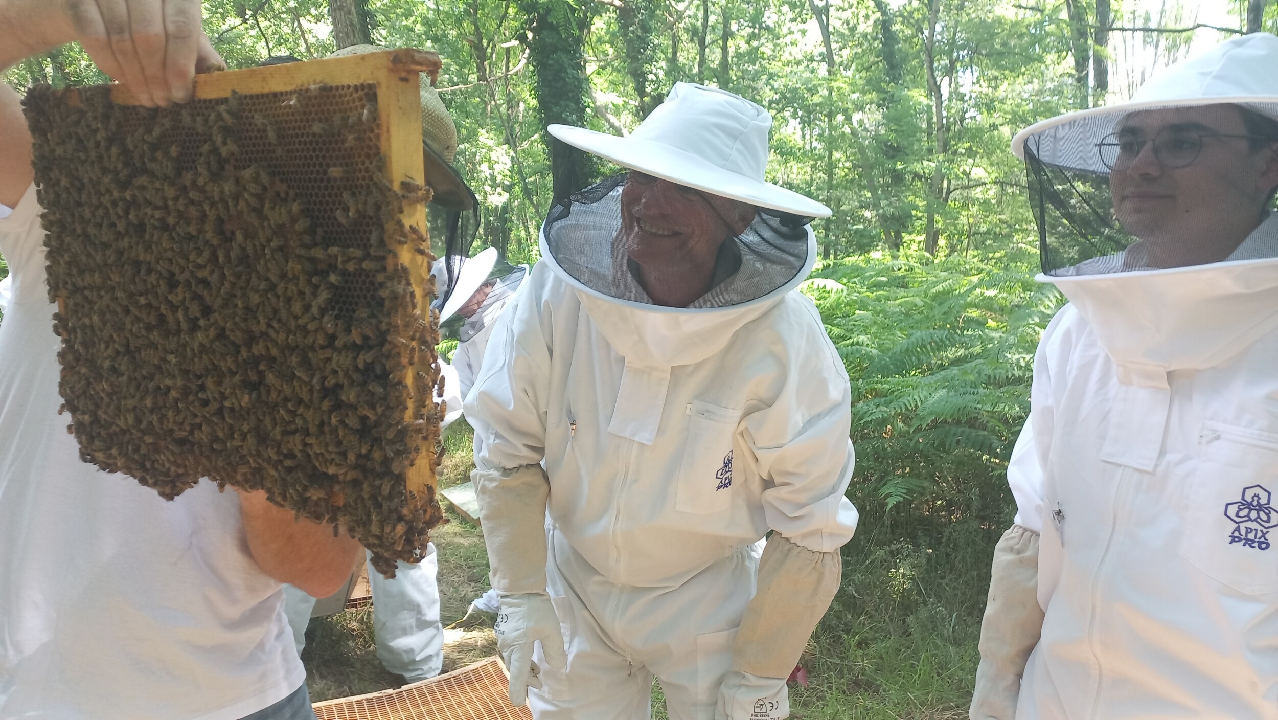 Initiez-vous à l'apiculture