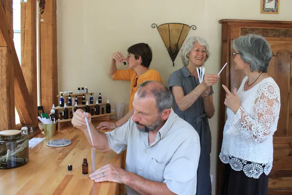 Composez votre parfum d'intérieur avec Béatrice - Image n°3 - Wecandoo