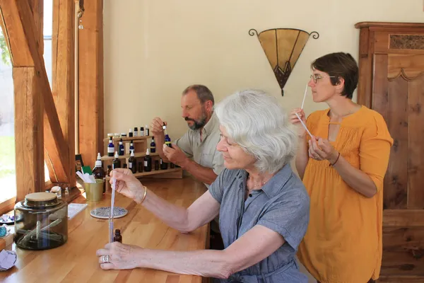 Composez votre parfum d'intérieur avec Béatrice - Image n°4 - Wecandoo