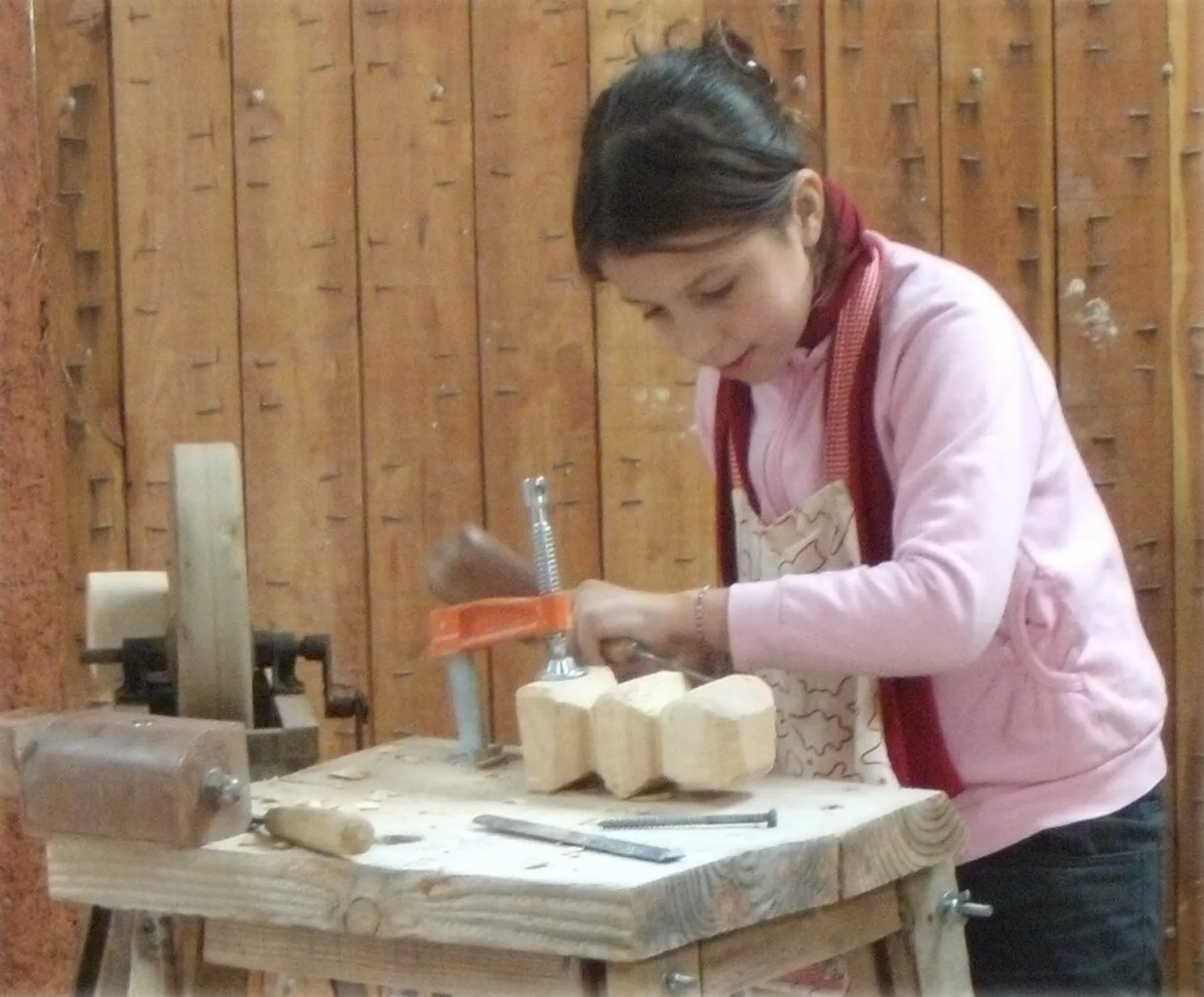 Initiez-vous à la sculpture sur bois sur une journée avec Anne-Elodie - Image n°3 - Wecandoo