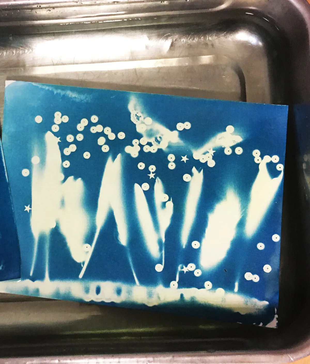 Initiez-vous au tirage photo cyanotype