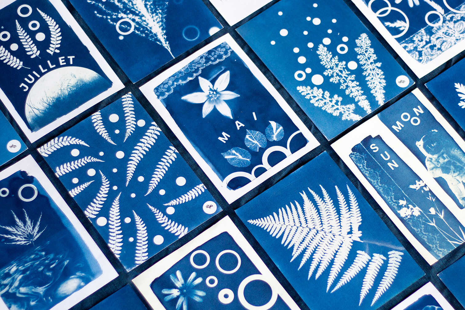 Initiez-vous au cyanotype à Nantes