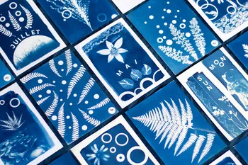 Wecandoo - Initiez-vous au cyanotype