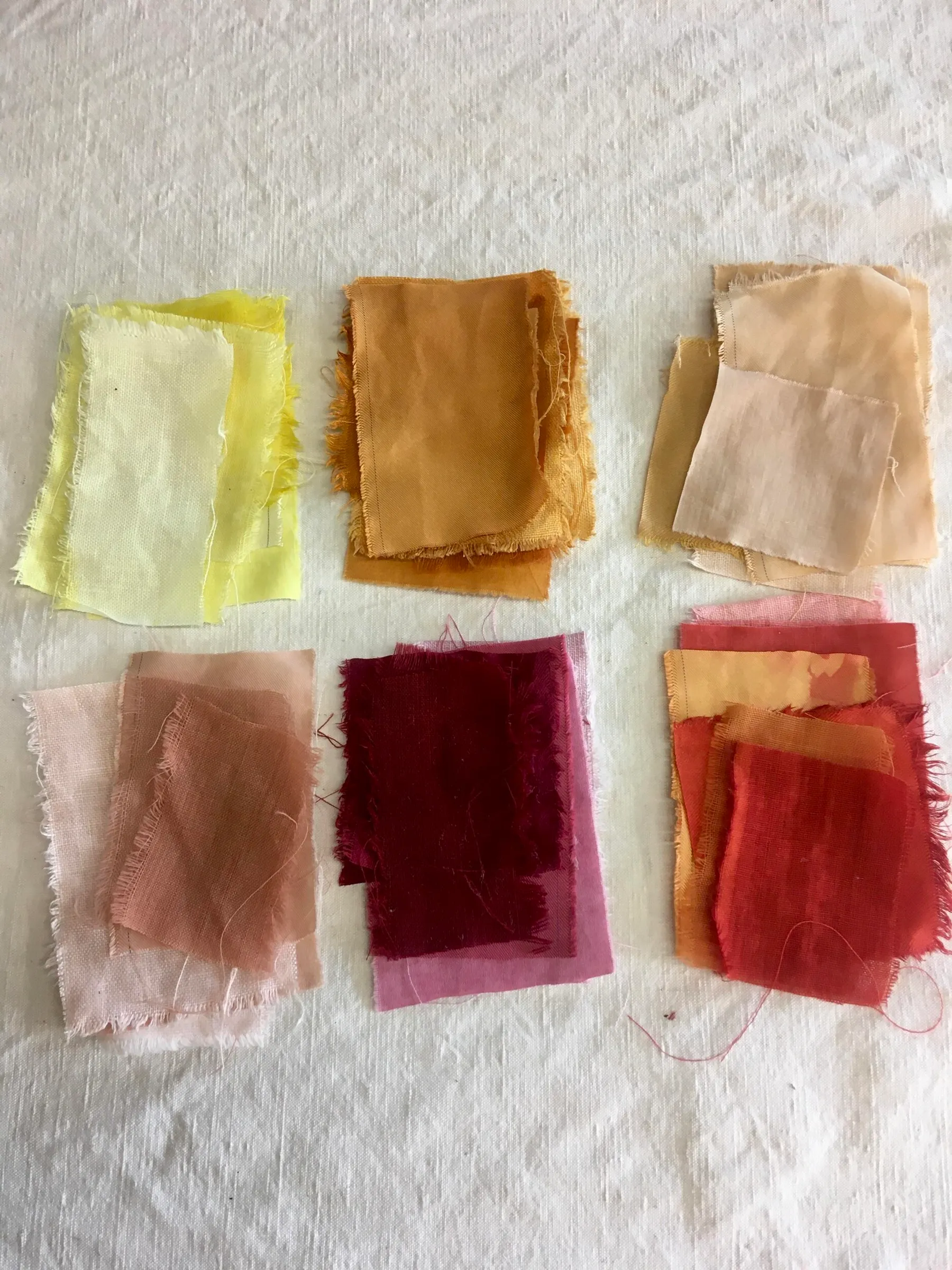 Initiez-vous à la teinture végétale avec Marie - Image n°4 - Wecandoo