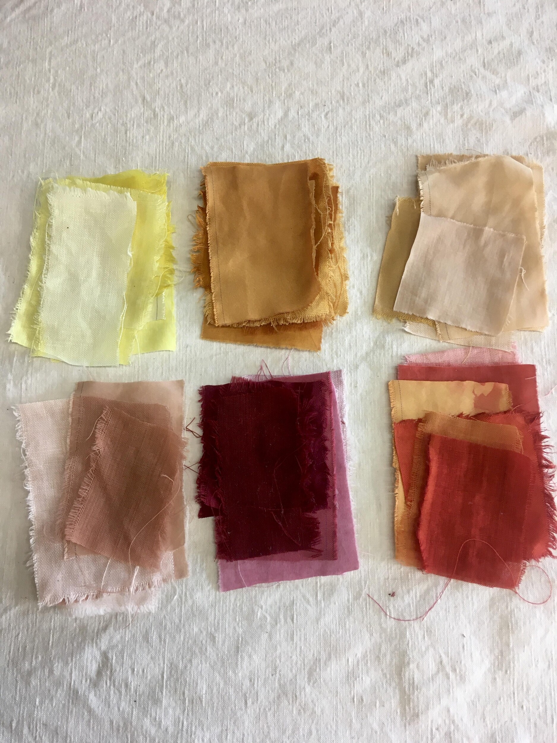 Initiez-vous à la teinture végétale