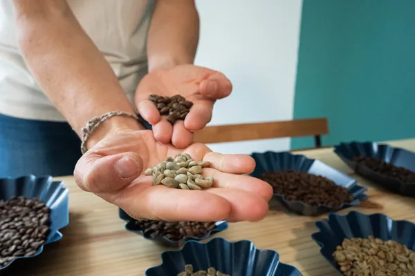 Initiez-vous à la torréfaction avec Laure - Image n°3 - Wecandoo