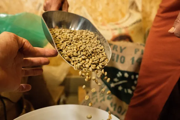 Initiez-vous à la torréfaction avec Laure - Image n°1 - Wecandoo