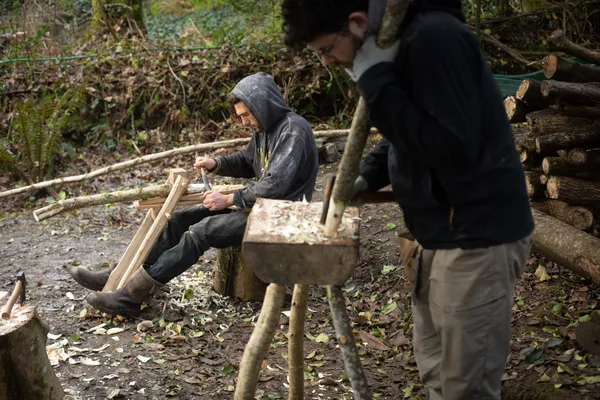 Découvrez l'art de la sculpture sur bois vert dans le Finistère - Image n°3 - Wecandoo