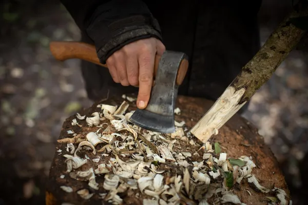 Découvrez l'art de la sculpture sur bois vert dans le Finistère - Image n°4 - Wecandoo
